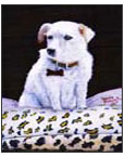 Mollie