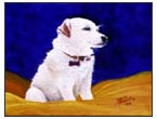 Mollie