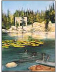 Mosquito Lake