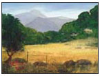 Quicksilver Meadow