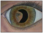 I see myself